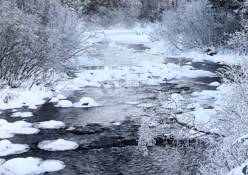 胡迪河一带的冬季水域风景旅行场景黑与白树木水平溪流白色森林图片
