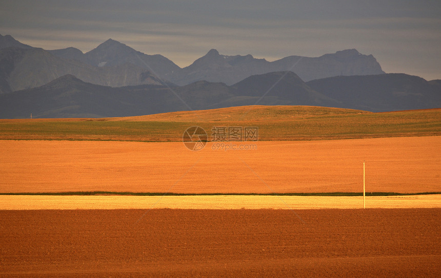 艾伯塔高平原和远处的洛基山脉风景旅行水平力量场景乡村平原山脉图片