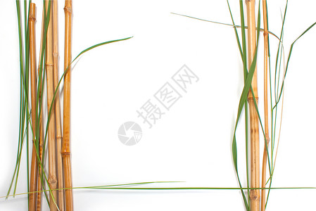 竹的边框背景图片
