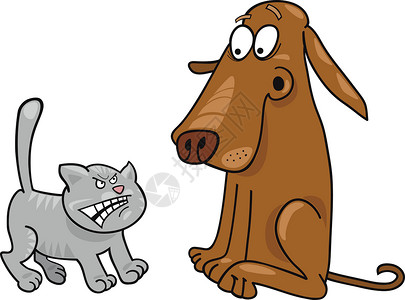 猫和狗动物插图犬类虎斑快乐卡通片棕色尾巴漫画灰色背景图片
