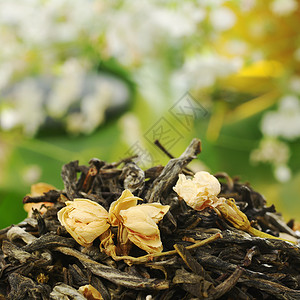 茉莉茶白色植物绿色叶子茉莉花宏观背景图片