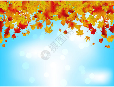 蓝天的秋叶 EPS 8卡片横幅天空橙子网络环境插图植物学季节艺术背景图片