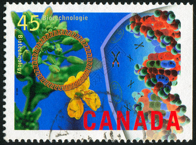 邮票植物基因生物海豹花瓣植物群漩涡戒指明信片邮戳高清图片