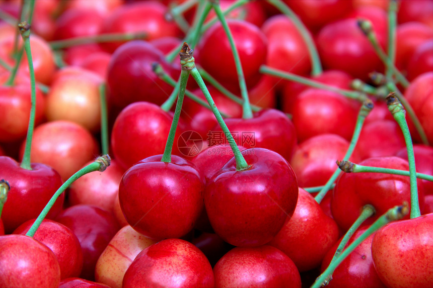甜樱桃水平商品水果农业浆果团体收获季节性食物早餐图片