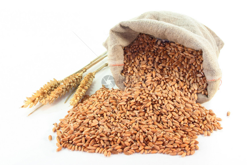谷物小麦颗粒农业贸易解雇密封营养世界食物粒状图片