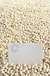 带空白卡的原始海牛豆种子豆类白色食物照片蔬菜纸板脉冲营养卡片背景图片