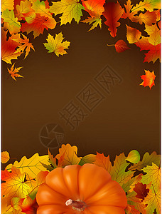 秋天有休假的总结背景叶子插图卡片创造力墙纸夹子框架花园季节绿色背景图片
