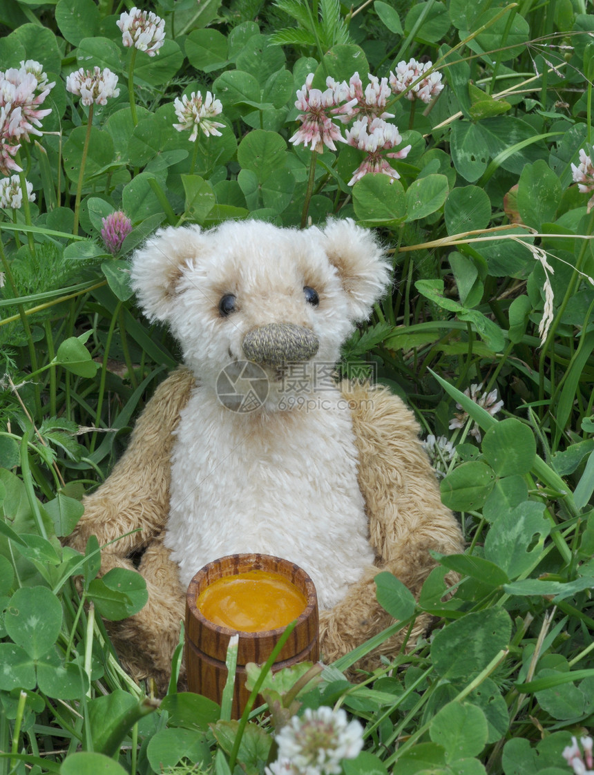 泰迪熊乔治礼物生态毛皮艺术幼兽羊毛玩具玩具熊草地动物群图片