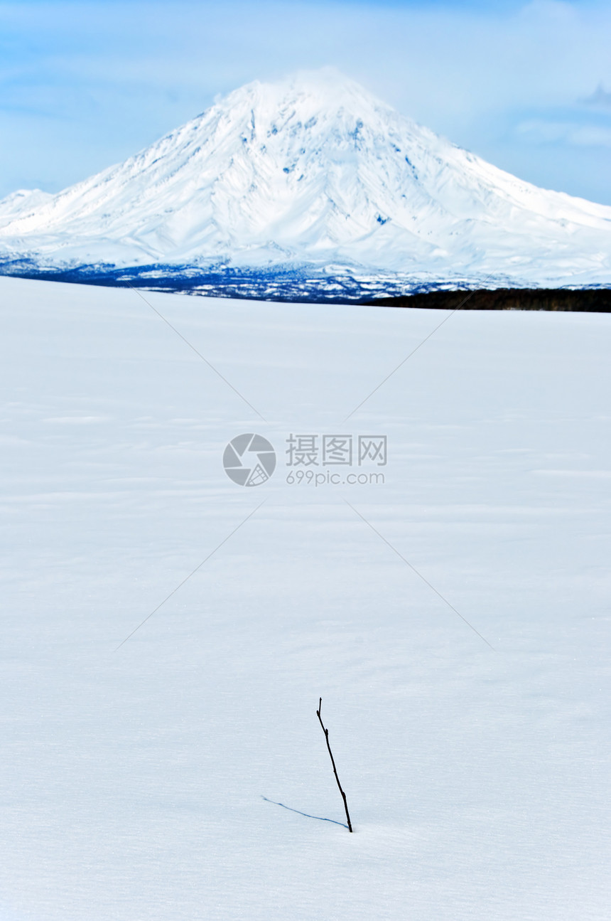 火山地震灾难旅游野生动物图片