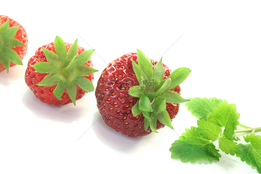 草莓浆果水果果味花园诱惑甜点喜悦课程绿色土壤图片