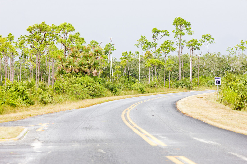 美国佛罗里达州Everglades国家公园植被位置沼泽地树木植物群道路自然保护区运输公路世界图片