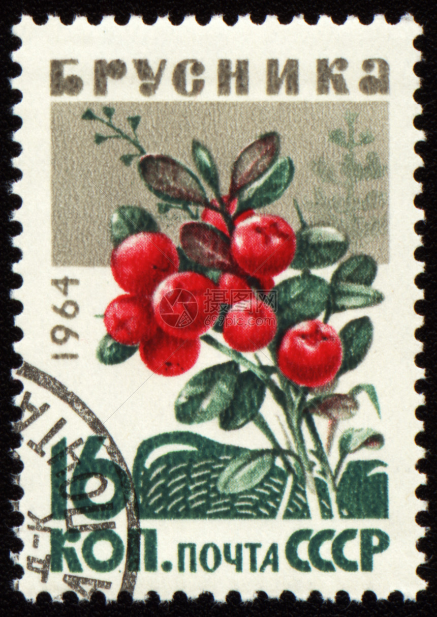印在邮票上的牛莓处图片