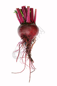 甜菜红色蔬菜白色背景图片