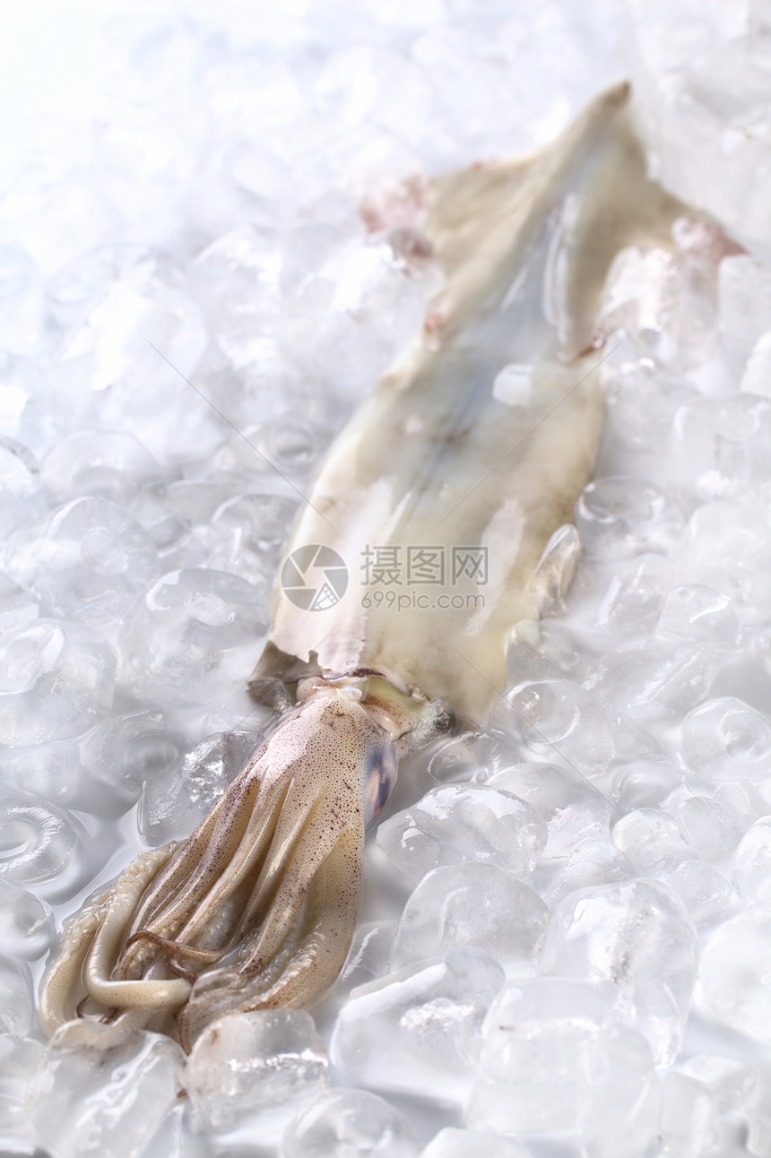Raw 冰上的鱼皮头足类动物食物鱿鱼触手美味手臂照片美食冷藏图片