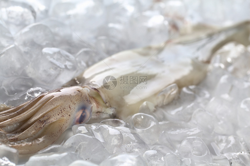 Raw 冰上的鱼皮触手头足类鱿鱼动物手臂食物水平冷藏美味美食图片