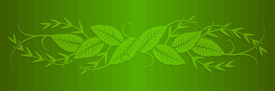 矢量树叶形状漩涡卷曲绿色午餐背景图片