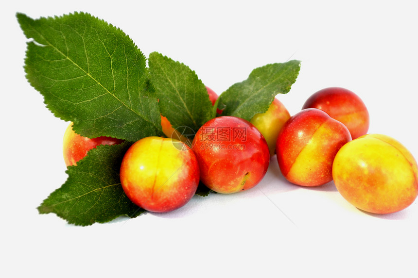 多汁羽植物维生素生长桃子绿色红色收成李子素食主义者食物图片