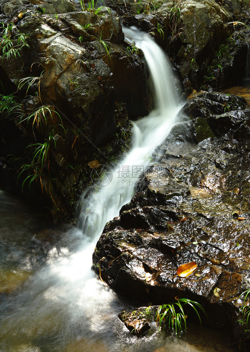 水瀑瀑布叶子旅行丛林力量风景热带森林公园太阳图片