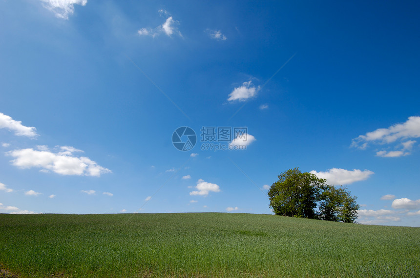 有树的景观农场植物场景天空娱乐远景爬坡农村季节场地图片