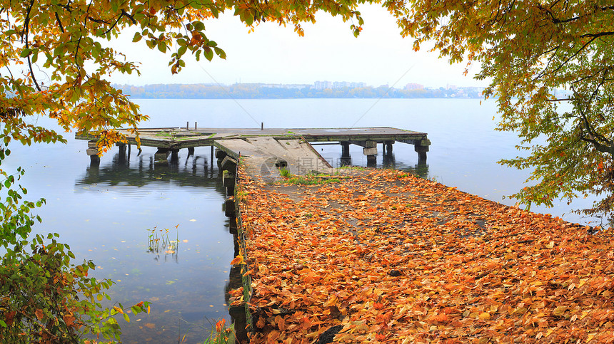 码头上的秋天图片