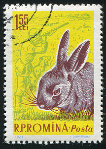 兔子邮票兔子兔耳朵野生动物邮资毛皮邮票历史性古董集邮明信片哺乳动物背景