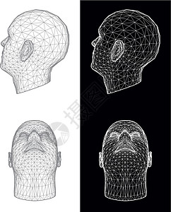 人头 矢量说明建造解剖学背景元素身体设计成人插图黑色部位背景图片