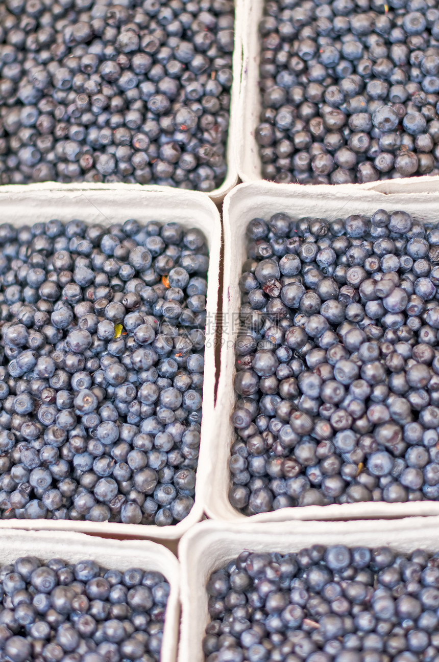 蓝莓烹饪紫色团体收成农场美食饮食蓝色生产小吃图片