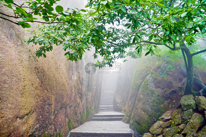 山区中国人之路小路荒野场景冒险叶子花园瓶颈薄雾旅游旅行图片