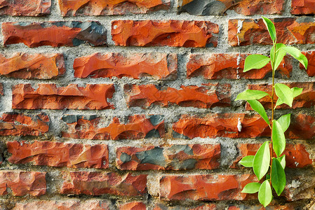 砖墙壁砖块纹理石方瓦砾墙壁石墙水泥墙纸建筑师城市背景图片
