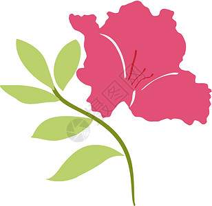 azalea 阿扎利亚绘画插图背景图片