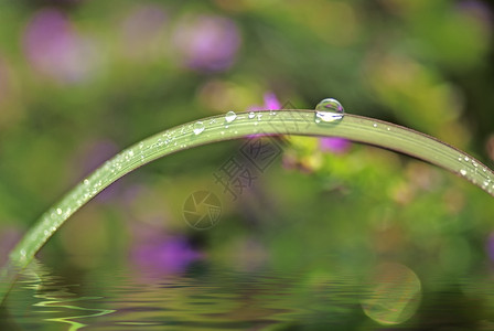 绿色水滴背景背景图片