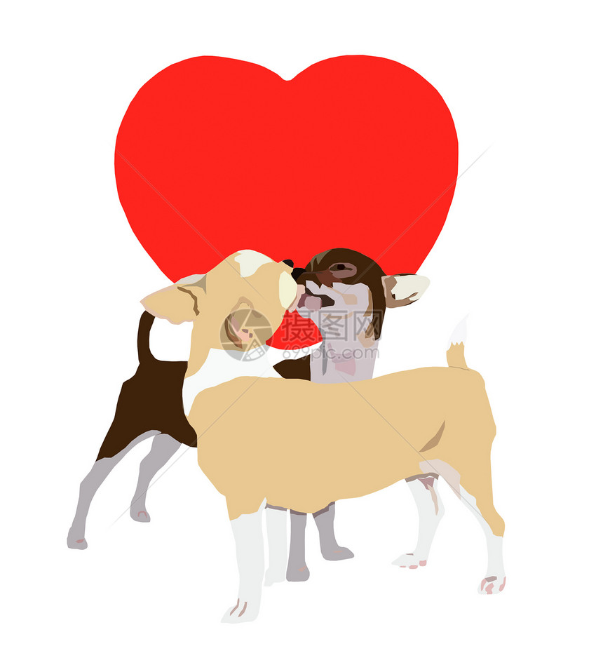 亲吻吉娃娃家畜绘画宠物犬类友谊浪漫夫妻动物图片