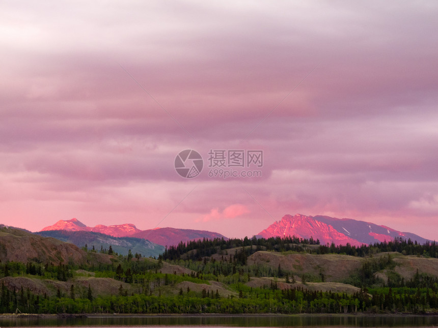远处的育空山脉在日落光下发亮紫色森林日光顶峰阳光旅游辉光针叶林地区旅行图片