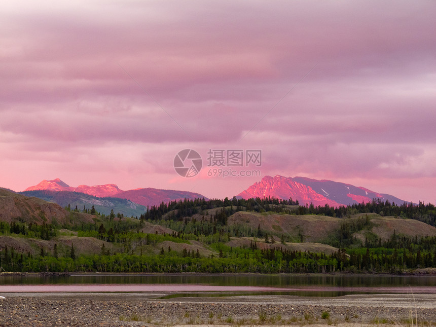 远处的育空山脉在日落光下发亮蓝色森林日光顶峰辉光日落寂寞旅行假期紫色图片