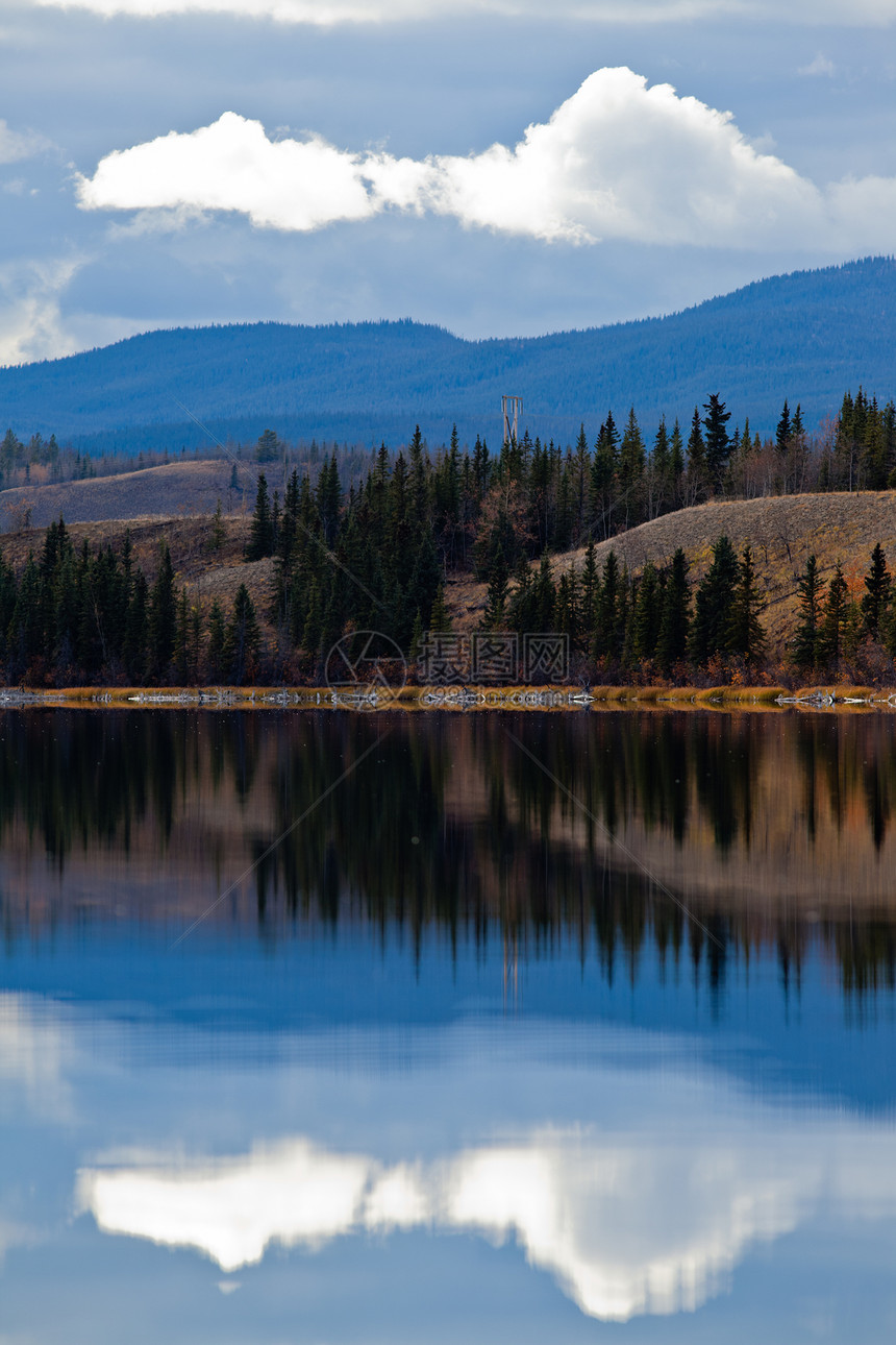 加拿大后瀑布的育空湖风景爬坡镜像蓝色荒野森林针叶树电源线电缆镜子图片