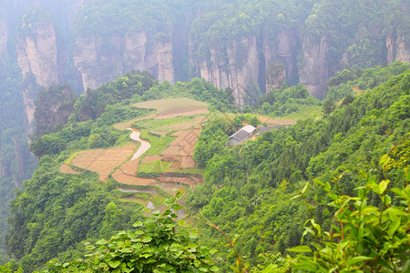 中国张贾吉的景观张家界高清图片素材