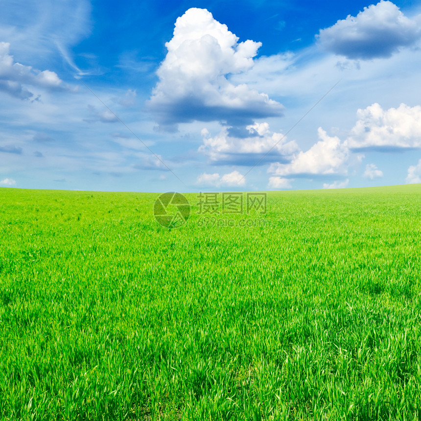 弹出字段天空牧场蓝色太阳场景农业草原地平线土地场地图片