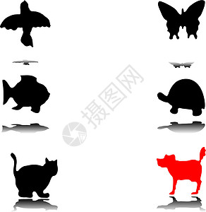 无脊椎动物黑色动物的休光片蝴蝶哺乳动物黑色红色昆虫爬虫脊椎动物剪影插画