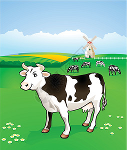 牛在牧场中背景图片