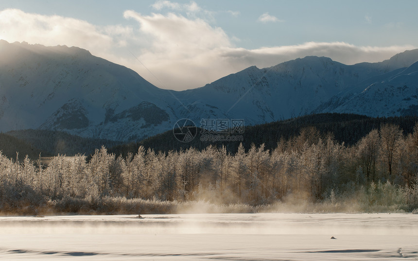 Chilkat山谷被雪覆盖荒野野生动物气候阳光顶峰日落蓝色全景太阳光旅行图片