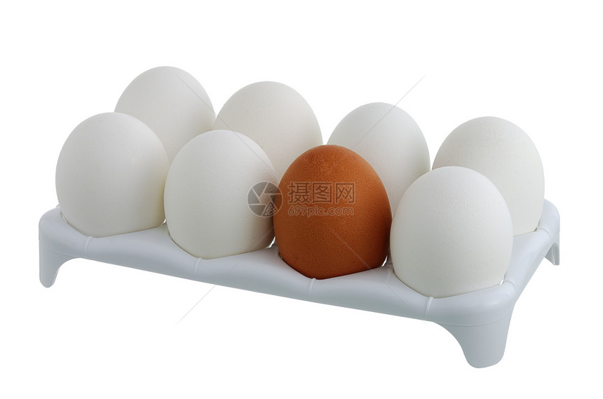 7个白蛋和1个棕色鸡蛋图片