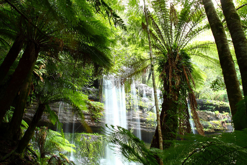 华丽的Russel瀑布在澳大利亚塔斯马尼亚州Mt Field国家公园喷洒森林丛林公吨溪流流动场地薄雾飞溅峡谷苔藓图片