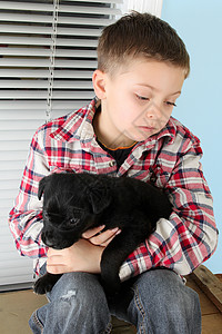 男孩和小狗蓝色孩子格子男生窗户动物宠物童年男性哺乳动物衬衫高清图片素材
