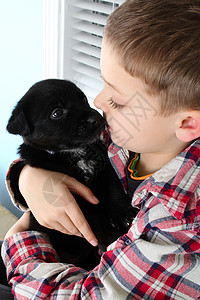 男孩和小狗朋友男性婴儿犬类动物哺乳动物伴侣实验室球衣童年金发高清图片素材