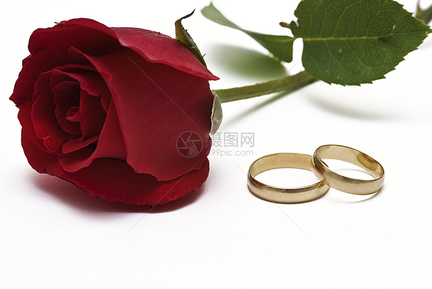 结婚戒指和红玫瑰婚礼结婚戒指展示订婚夫妻金子传统红色珠宝海关图片