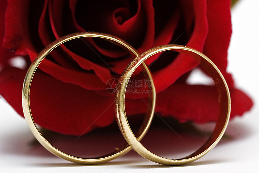 结婚戒指和鲜玫瑰婚姻夫妻海关婚戒黑色礼物红色订婚结婚戒指珠宝图片