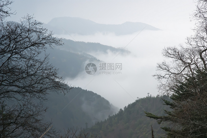 中国湖北山峰 树林 云 被夺去山脉森林旅游松树树木图片