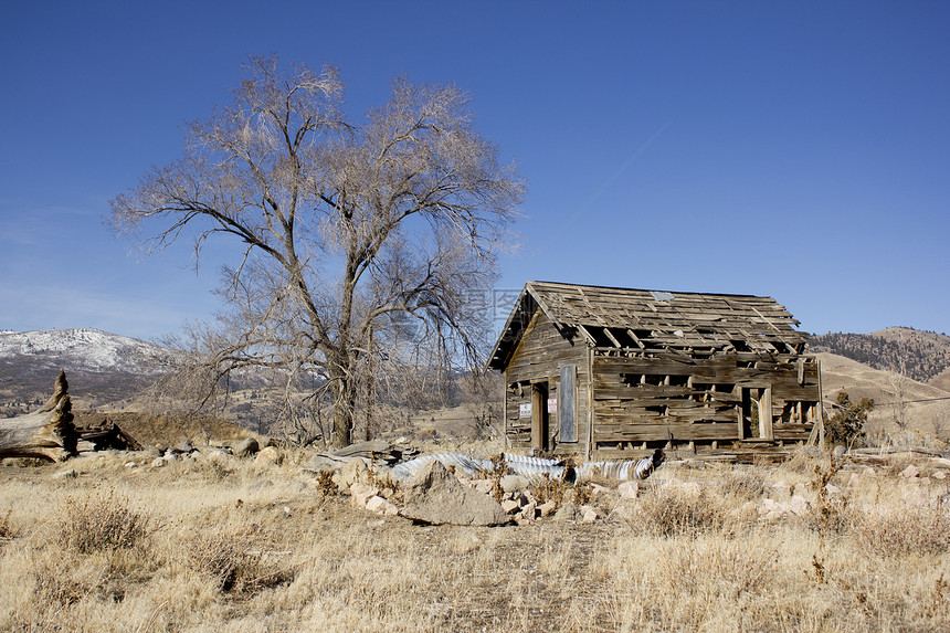 旧遗弃的荒废破烂小屋乡村农家全景金子农场农业蓝色草原田园房子图片