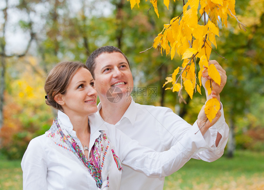 在秋天散步时 浪漫的年轻美人情侣男性女孩夫妻家庭花园乐趣男人公园树叶丈夫图片