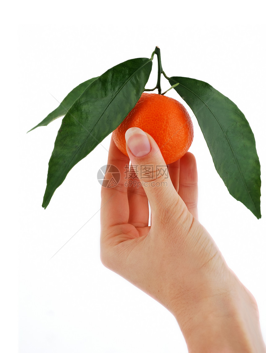 普通中达林叶子宏观热带素食主义者手指水果指甲甜点绿色食物图片